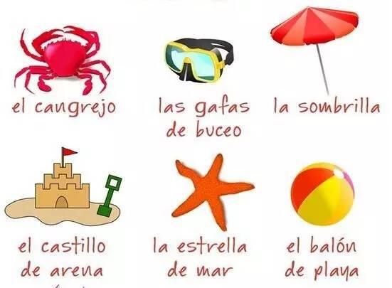 西班牙语词汇