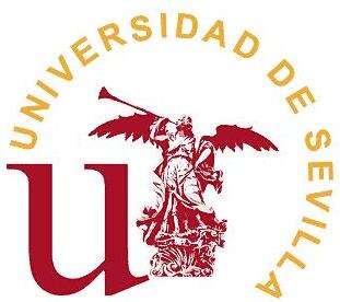 西班牙塞维利亚大学